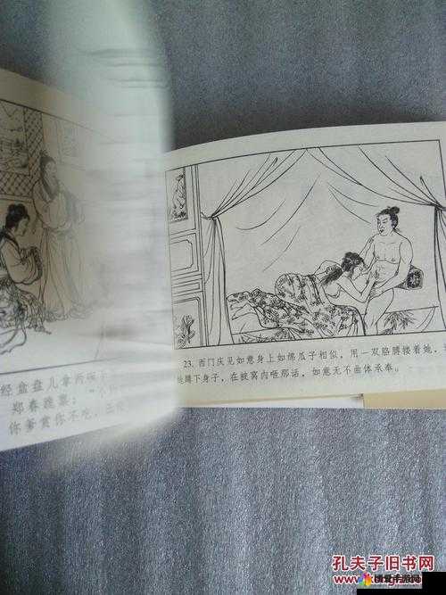 林太太府中逢甘雨原文探寻：深度解析其中的文化内涵与情感脉络