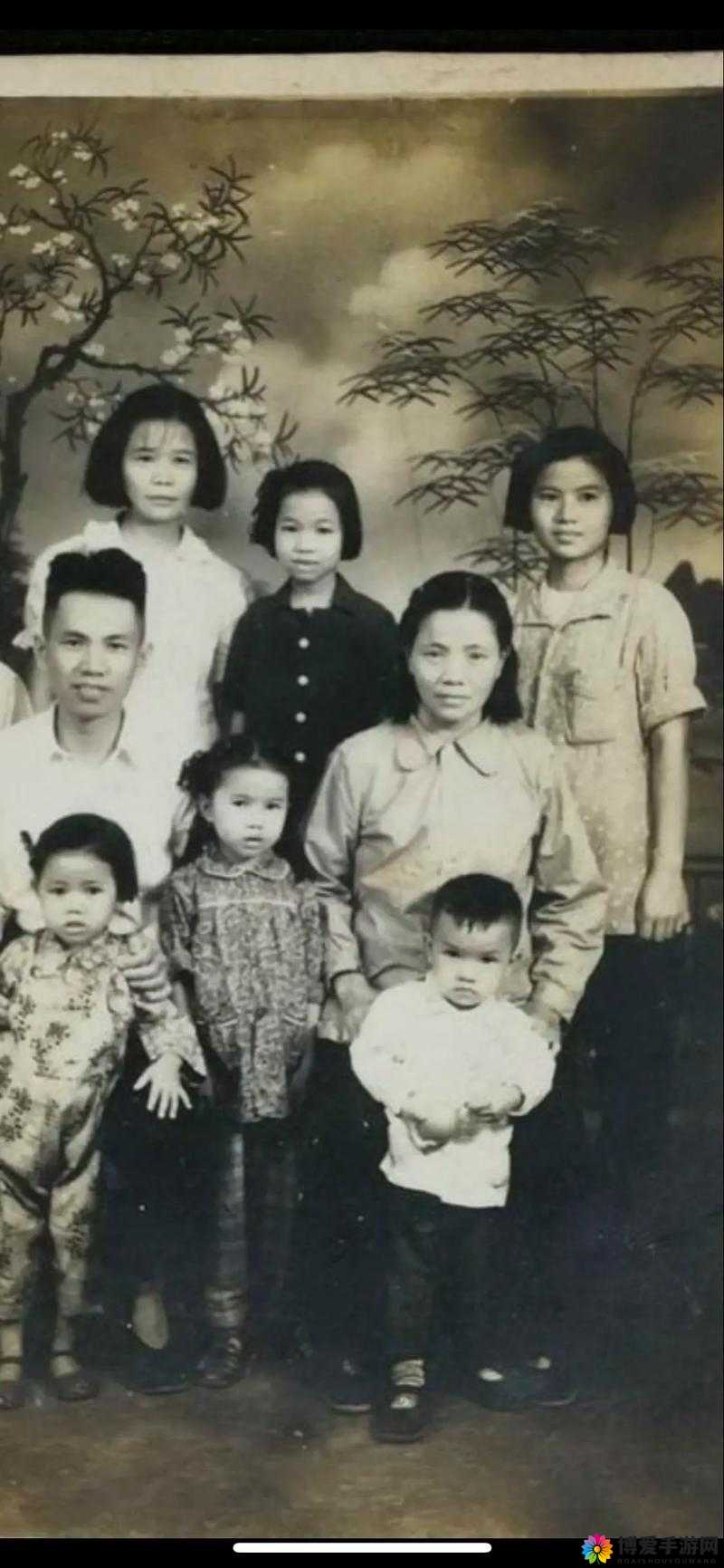 一家人大乱杂，生活中的别样精彩与无奈