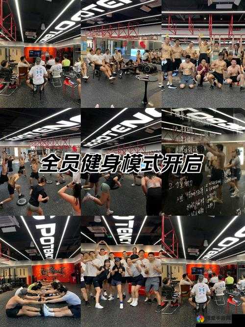 GAYXXX 激情健身教练：带你开启活力无限的健身之旅