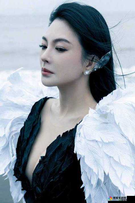 张雨琦人文艺术欣赏 PPT：关于张雨琦在人文艺术领域的精彩呈现与深度解读