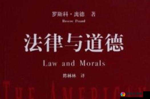 XXX 农村诱奸小 Y 头：道德与法律的边缘