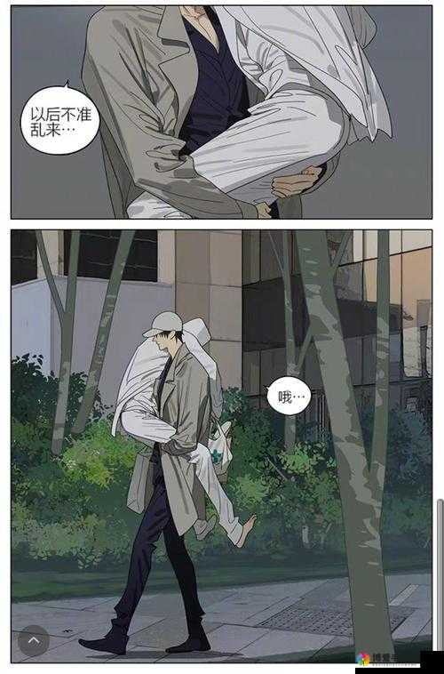 学长被 C 哭爬走又被拉回:究竟发生了什么