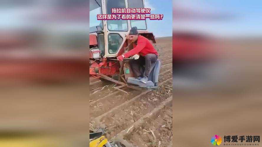 生猴子不盖被子视频：趣味演绎与别样风情