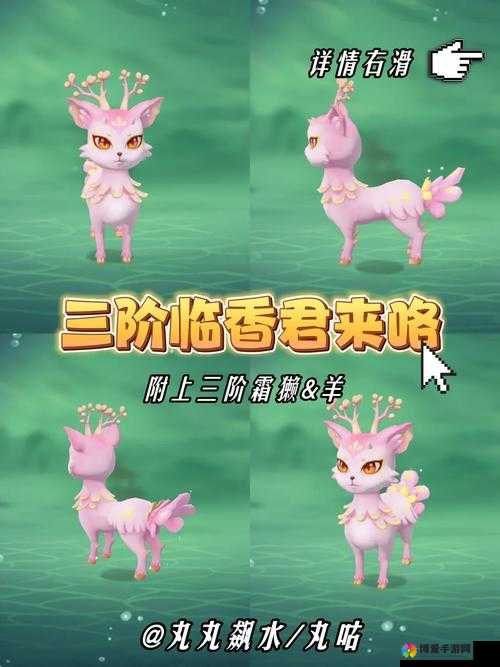 天下HD灵兽成长攻略，揭秘快速培养灵兽之道