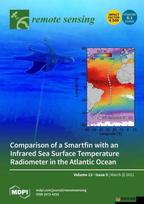 Atlanticocean 巨大停止后又恢复：这一神奇现象背后的原因探索