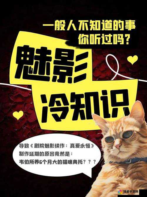 探索魅影视频：了解其背后的故事与制作技巧