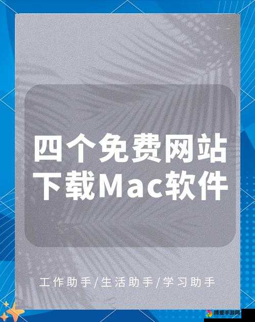 404款禁用软件APP免费网站：探寻其背后的秘密与风险