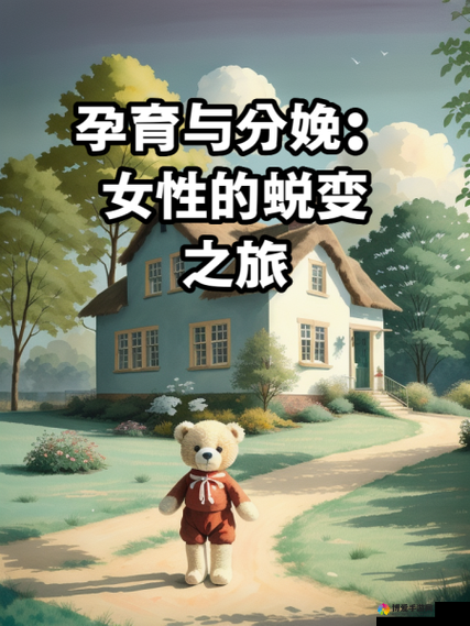 善交怀孕集合 23 部分：独特的孕育之旅探讨