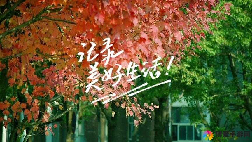 小青楼短视频：记录生活，分享美好