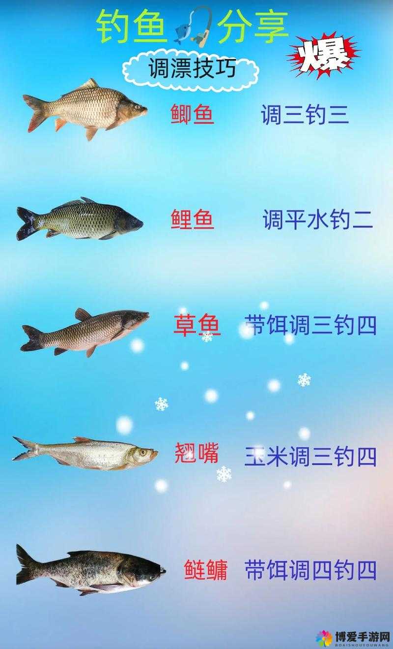 钓鱼发烧友攻略，最新版刷鱼竿方法在资源管理中的重要性及高效运用