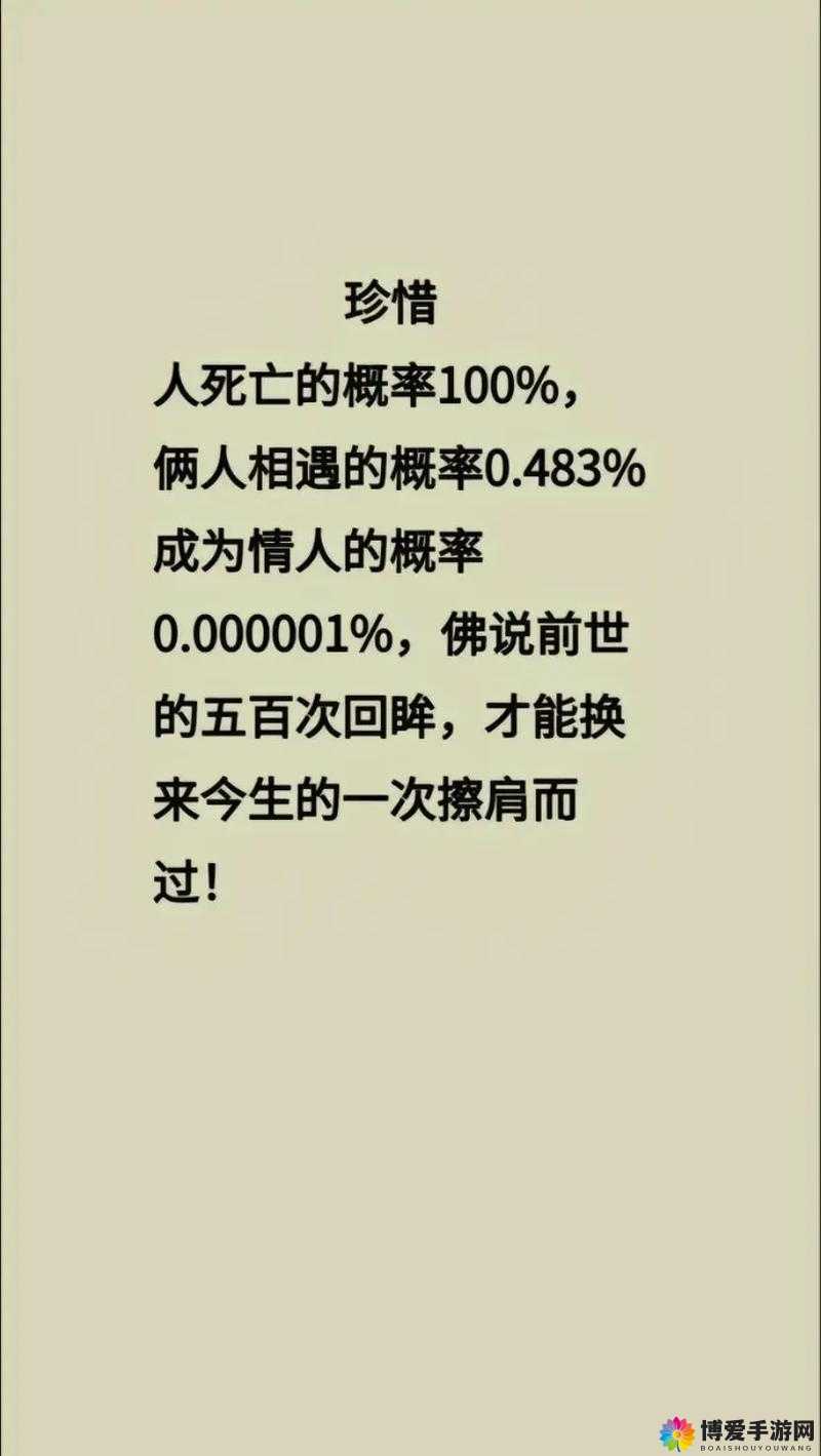 一个有关两个人的故事：他们的相遇与命运交织传奇