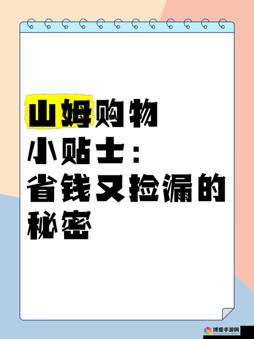 小扫货的秘密：如何在购物中省钱又省心