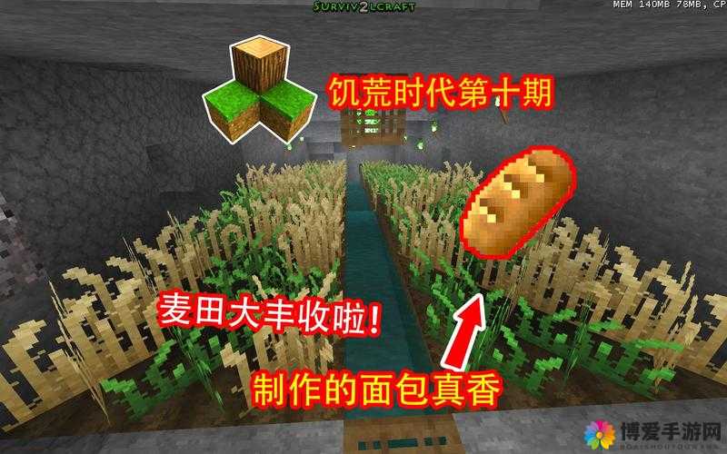 生存战争小麦消失之谜，如何守护你的麦田？
