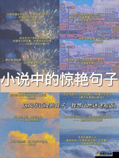 大杂烩小说全集阅读 500：带你领略丰富多样的小说世界