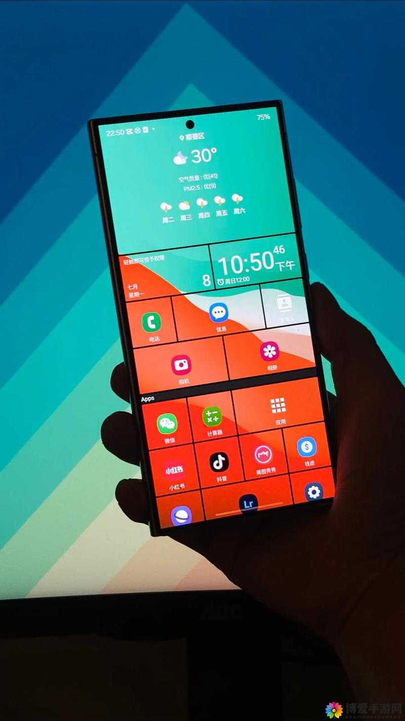 日本windowsphone 中国：关于其技术发展与市场应用的探讨