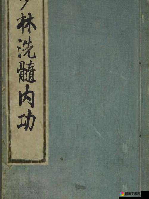 剑网3口袋版少林如何洗髓经，洗髓经攻略介绍