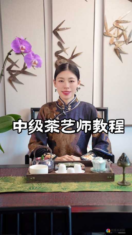 娜娜茶艺在线观看：带你领略不一样的茶艺世界