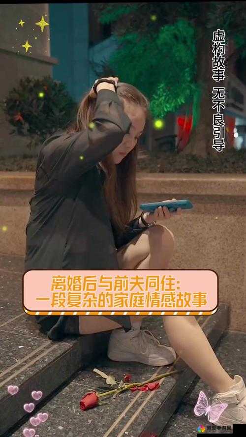 二婚后前夫回归引发的复杂情感纠葛：1v2 的全新挑战