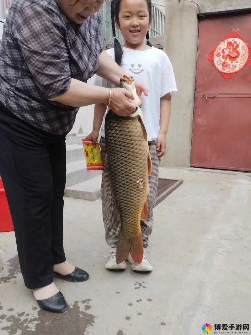 会鲤鱼吸水能抓住男人的心吗：探寻情感吸引的真相