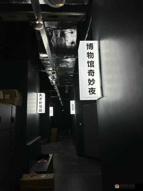 神秘电影 vip5 条通道在哪：探寻其背后的秘密与真相