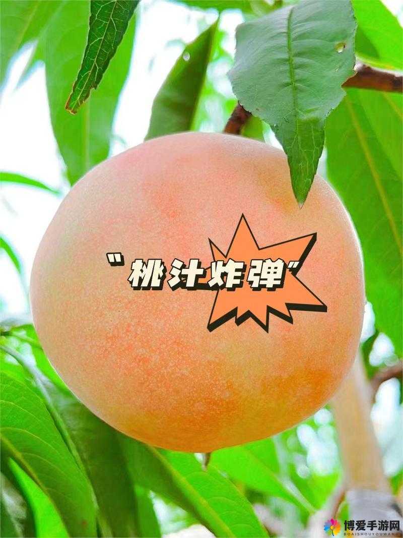 快灬快灬一下爽蜜桃：让你尽享蜜桃般的清爽滋味