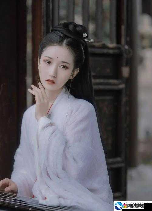 无人一区二区区别：探究其在功能和特点上的显著差异