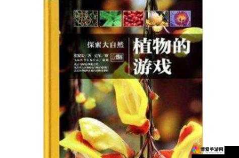 户外插bbbb：探索大自然中独特的连接方式与奥秘