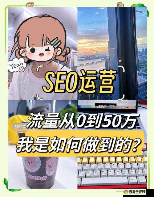 SEO 短视频网页入口引流技巧之如何快速吸引大量精准流量