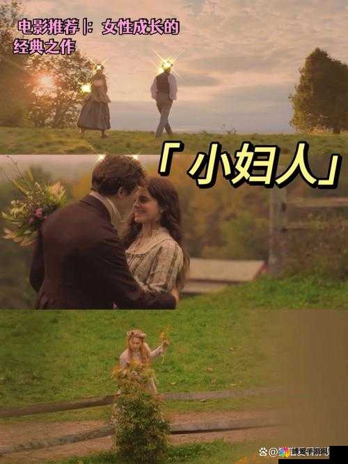 小妇人电影免费观看正版：女性成长的诗意画卷