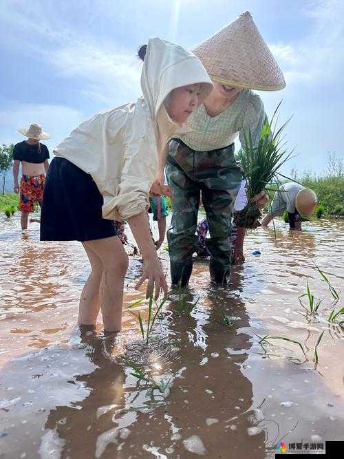 夫妻间 100 间插秧法人民网：探索独特农耕模式背后的夫妻情