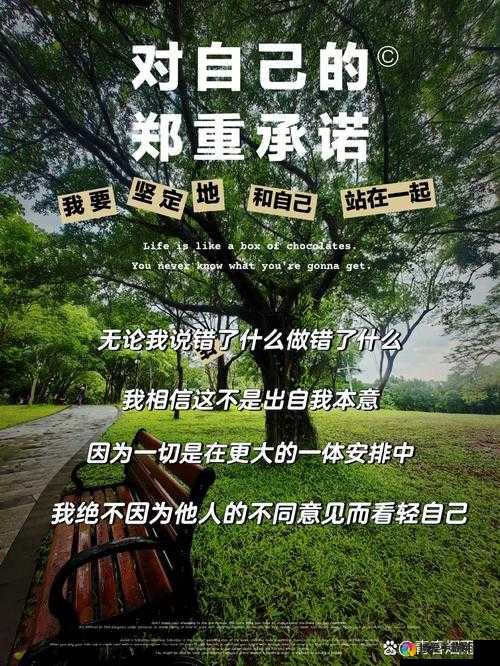 2024b 站永不收费：这是对用户的坚定承诺与美好期许