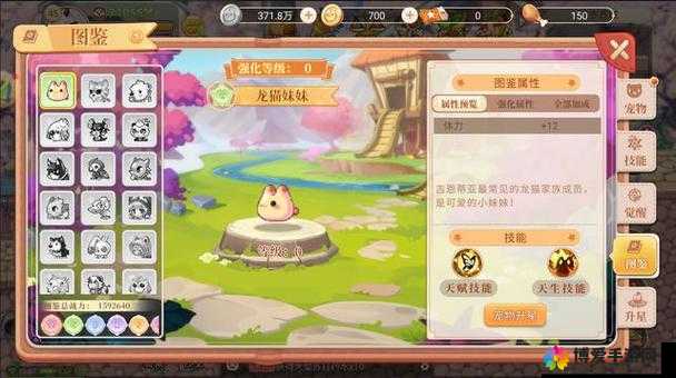 宠物精灵物语探险玩法详解