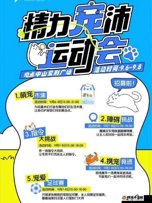 宠物大联盟活动副本战，萌宠集结，挑战无限精彩！