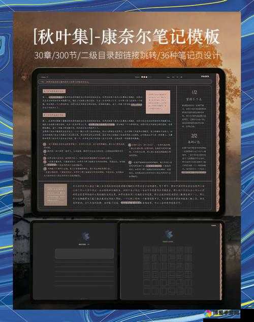品赏网成年：探索优质内容与独特体验的平台
