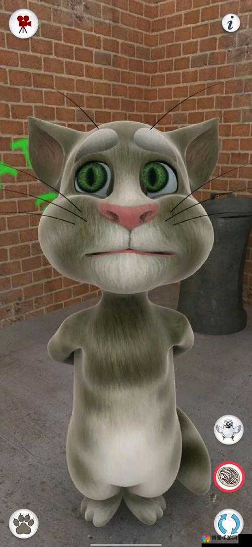 会说话的汤姆猫手游各动作触发方法攻略