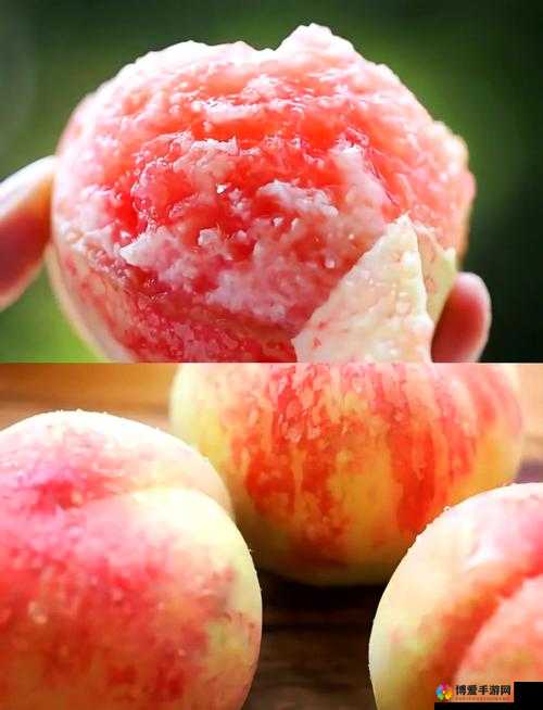 日本水蜜桃桃子：带你领略不一样的甜蜜与美味体验