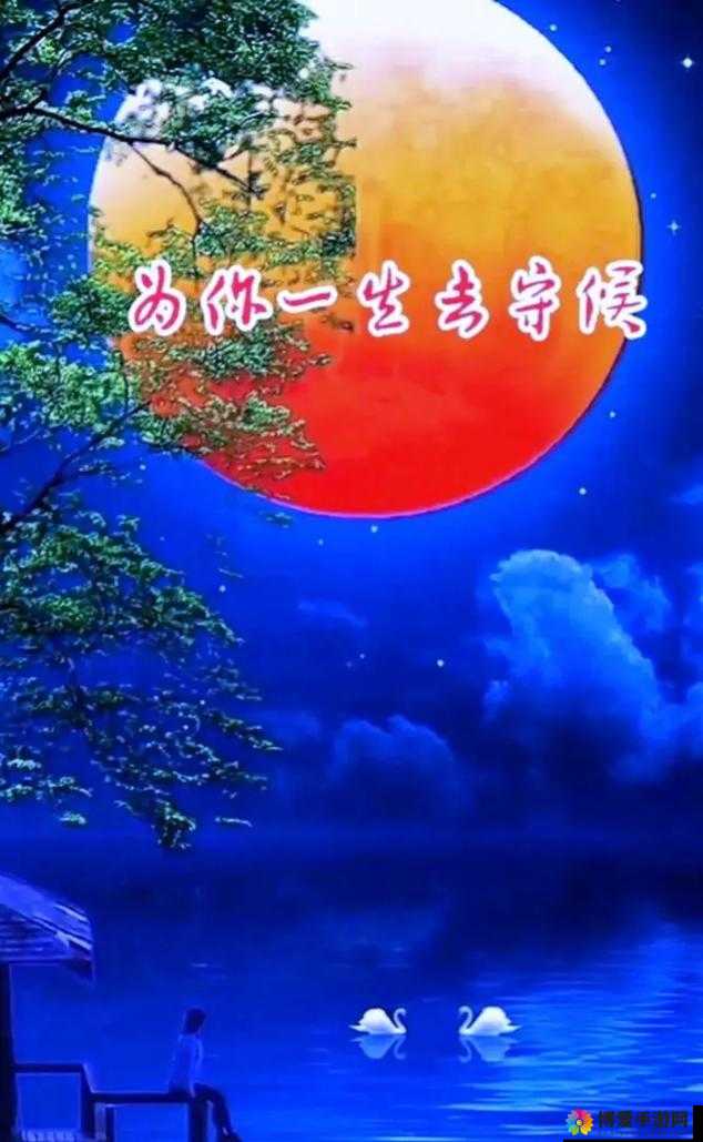 yw8827 永不失联：时刻在线的坚定承诺与守候