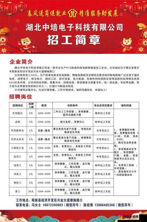 如何利用谷露提升求职效率：专业招聘服务平台的使用指南