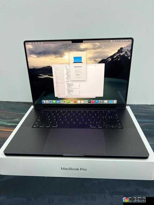 中国 macbookpro 高清在线看：高清画质，流畅体验