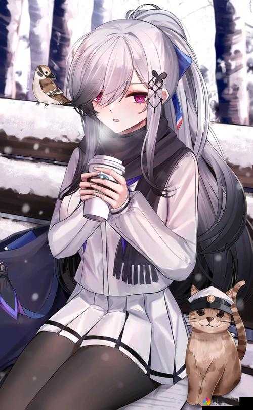 我的舰娘获取各种货币一览表