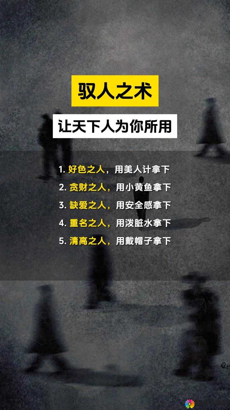 驭房之术全文之深入解读与全面剖析