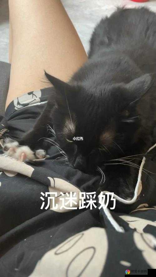 嗟嗟嗟嗟嗟嗟好痛：为何会这样让人难以忍受