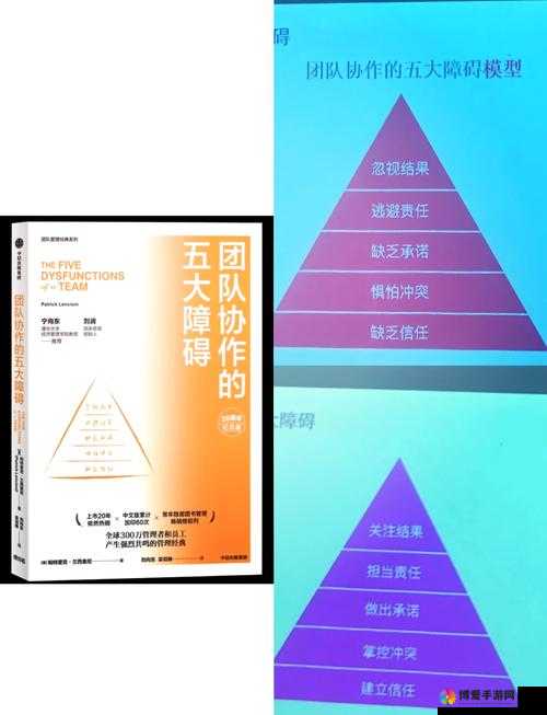 5 人轮换：打造团队协作与策略调整的核心机制