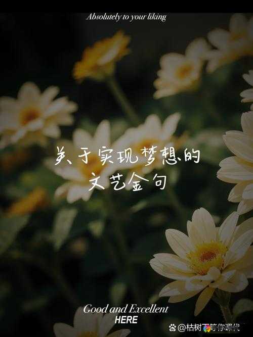 愿 37 大但人文艺之光照亮你的文艺之路