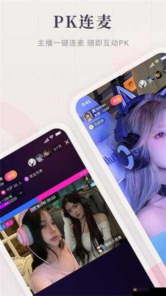 KDBACC.APK 网站隐藏入口中文版资源详细呈现