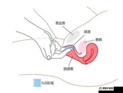 如何弄到自己喷泉：详细步骤与方法全解析