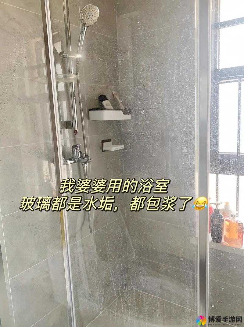 厨房和浴室 HD:清洁、舒适、高品质的家居必备