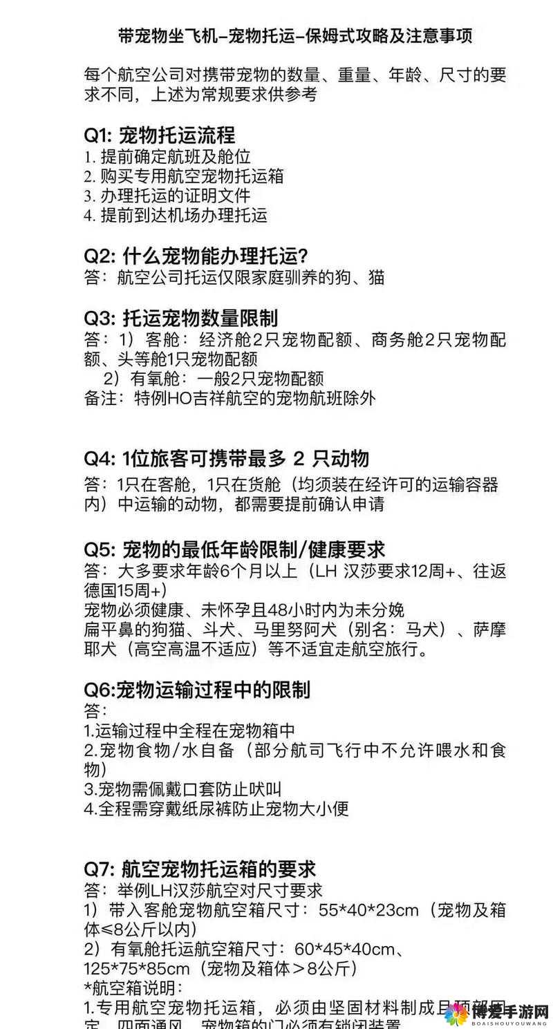 女狗出街任务表：宠物出行的必备事项与注意要点