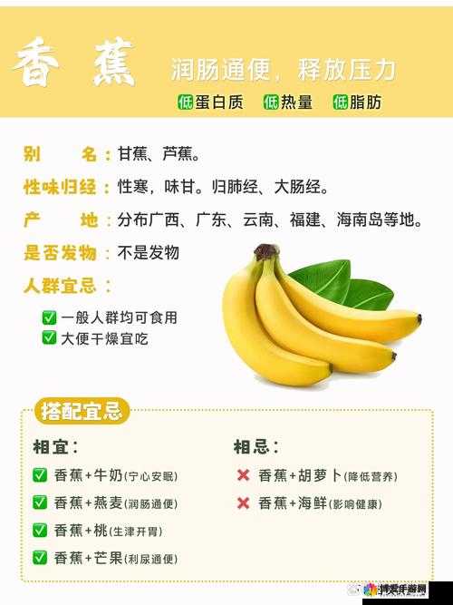 香蕉文化的魅力与内涵：从香蕉看文化的多元与发展