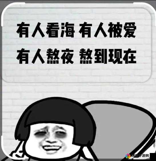 夜晚睡不着，看 B 站到天明：是熬夜还是通宵？